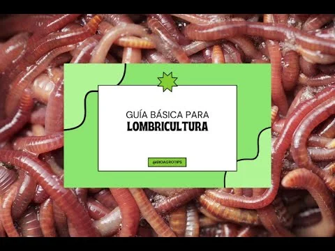 Miniatura del video: Guía Básica de Lombricultura
